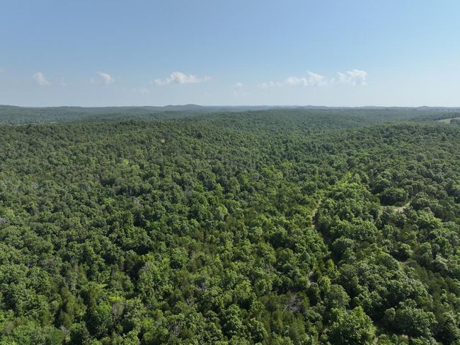 dji_fly_20250620_102532_0016_17504331131 | Image 30