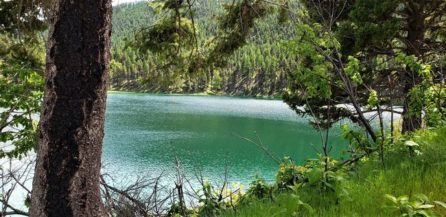 488 Emerald Lake Loop, Home with 0 bedrooms, 0 bathrooms and null parking in Seeley Lake MT | Image 44