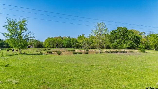 72 Acres N Farm Road 900, Home with 0 bedrooms, 0 bathrooms and null parking in Saltillo TX | Image 10