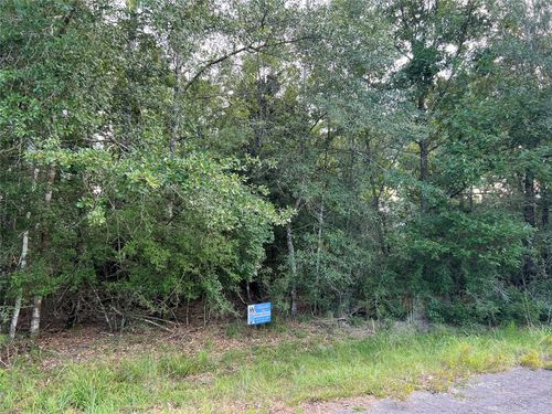 TBD Yaupon Dr, Village Mills, TX, 77663 | Card Image