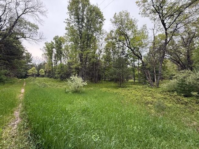 4465 E Old M 63, House other with 3 bedrooms, 1 bathrooms and null parking in Luther MI | Image 32