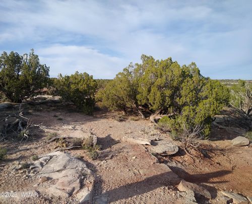 8938 Buffalo Ridge Ln, Show Low, AZ, 85901 | Card Image