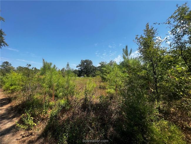 30 Fm 1486, Home with 0 bedrooms, 0 bathrooms and null parking in Richards TX | Image 12