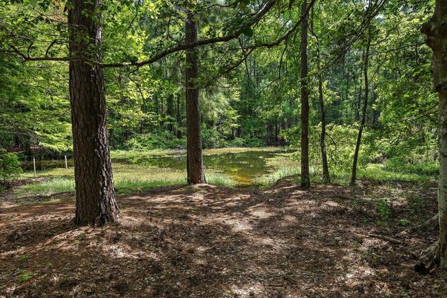 460 Timberlane Loop, House other with 2 bedrooms, 1 bathrooms and 3 parking in Hemphill TX | Image 13