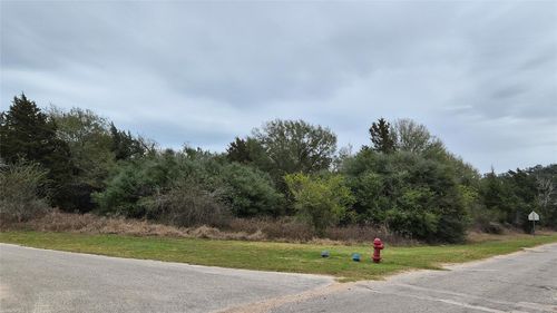 Lots 1-10 Shepard St, Hempstead, TX, 77445 | Card Image