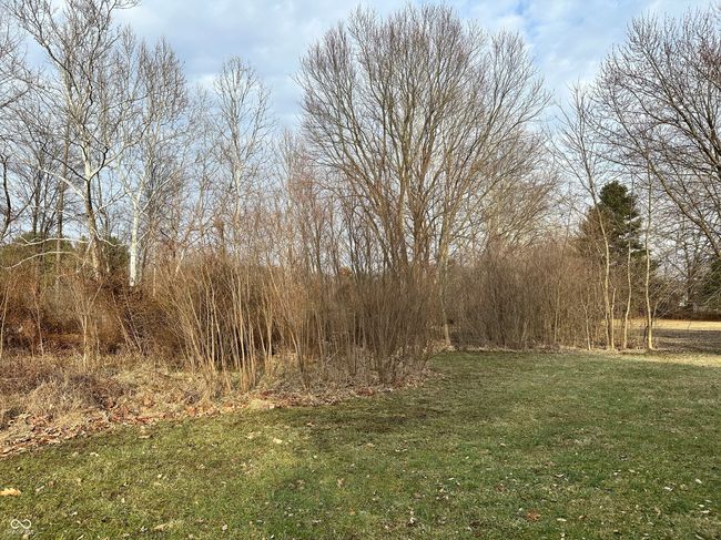 1750 W Foxcliff Dr S, Home with 0 bedrooms, 0 bathrooms and null parking in Martinsville IN | Image 7