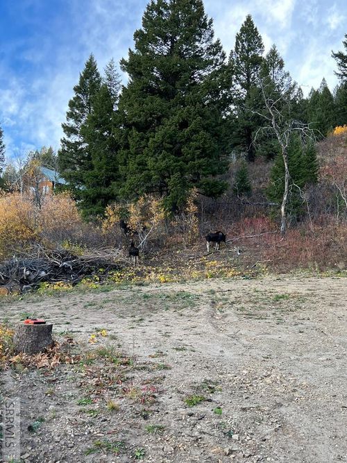 5166 Mountain Drive, Island Park, ID, 83429 | Card Image