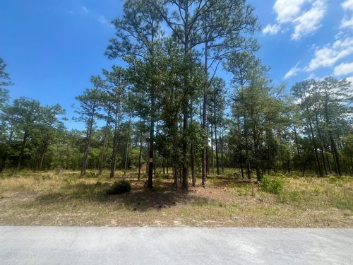 0 Nw Tree Top, Dunnellon, FL, 34431 | Card Image