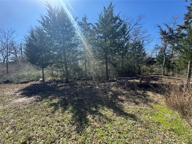 View of landscape | Image 13
