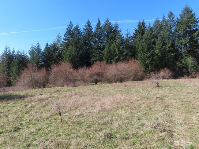 B - 107 Avery Rd W, Home with 0 bedrooms, 0 bathrooms and null parking in Napavine WA | Image 31
