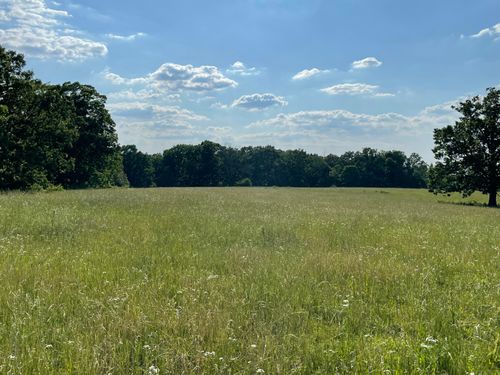 000 County Road 4300, West Plains, MO, 65775 | Card Image