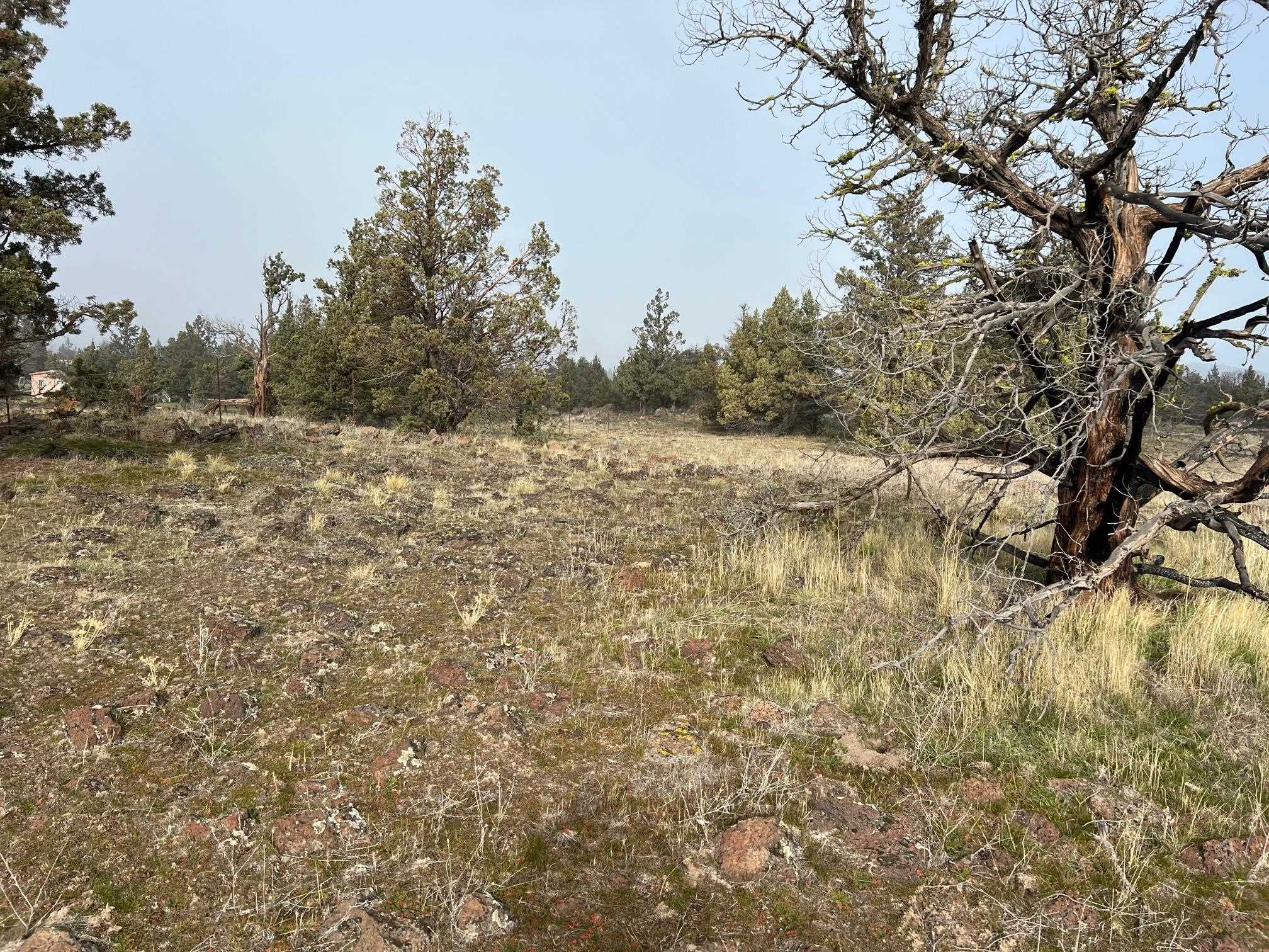 Land in Montague