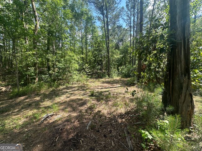 925 Cleary Rd, House other with 3 bedrooms, 2 bathrooms and null parking in Brooklet GA | Image 37
