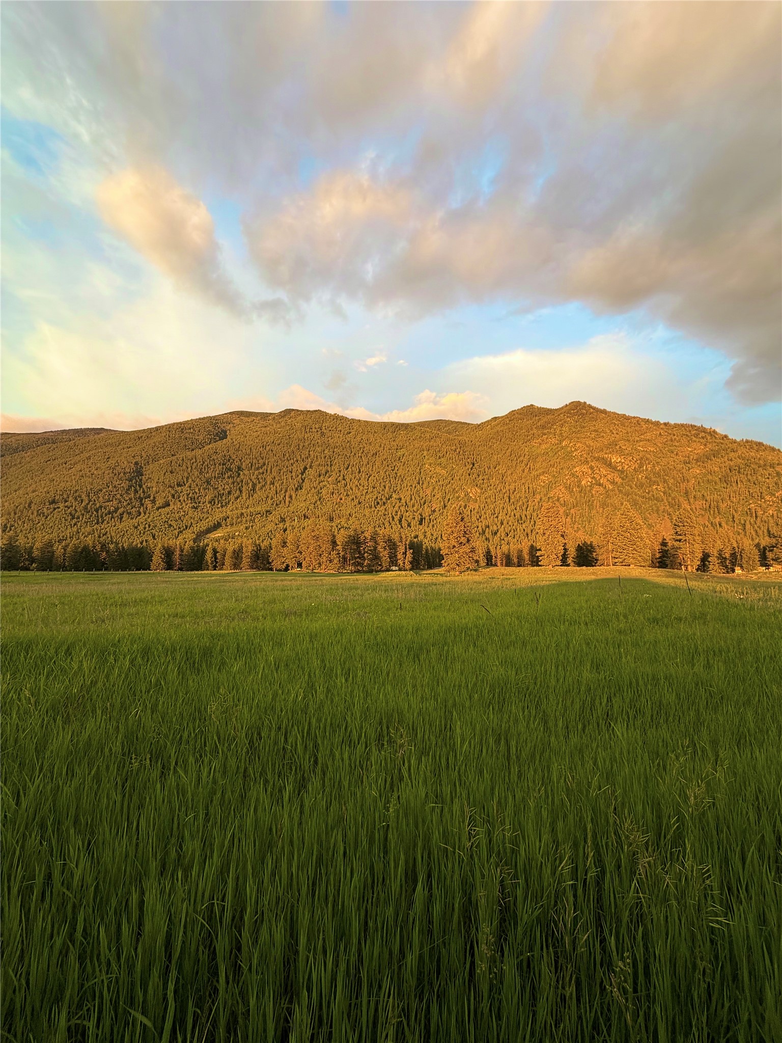 Land in Columbia Falls