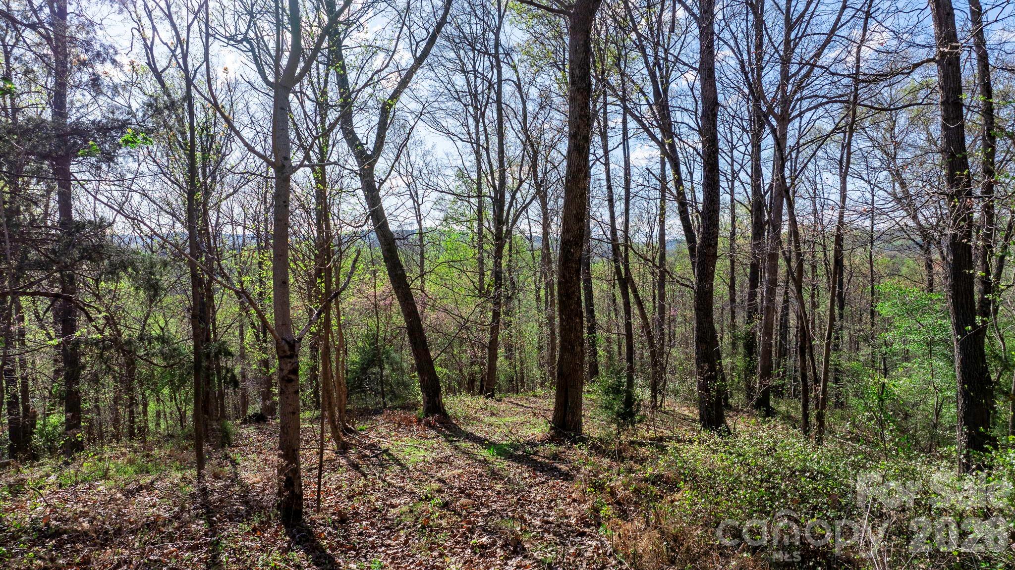 Land in North Wilkesboro