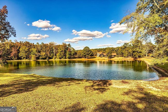 2066 Drew Allen Rd, House other with 4 bedrooms, 3 bathrooms and 3 parking in Williamson GA | Image 84