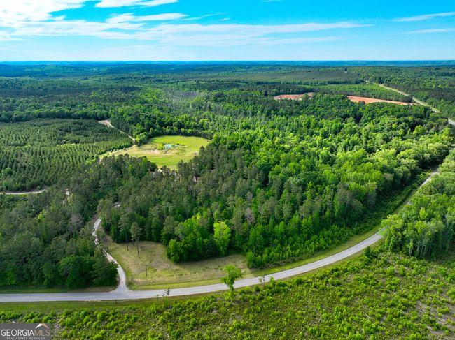 6620 Jr Sims Rd, Home with 0 bedrooms, 0 bathrooms and null parking in Irwinton GA | Image 44