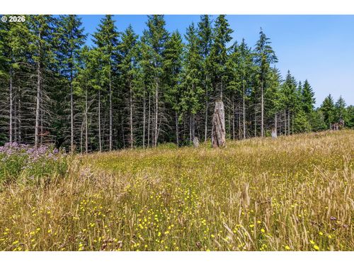 252 Ash Mountain Dr, CastleRock, WA, 98611 | Card Image
