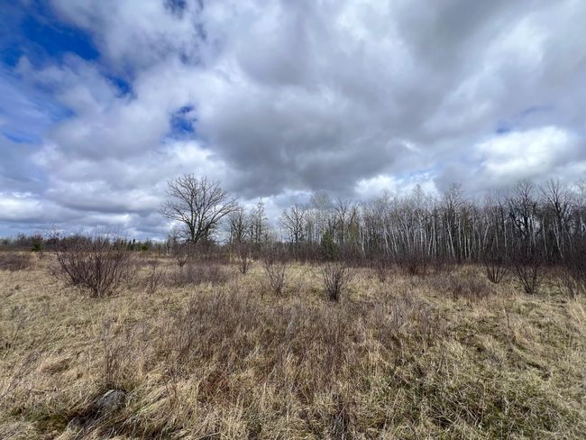62126 Tamarack River Rd, Home with 0 bedrooms, 0 bathrooms and null parking in SANDSTONE MN | Image 33