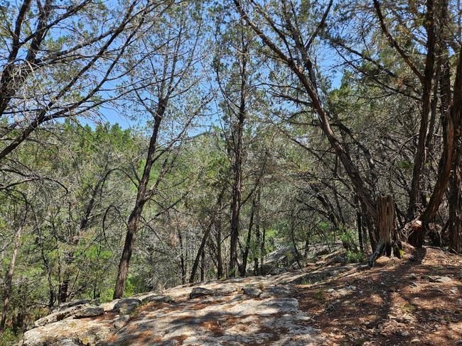 525 Soda Creek Rd, Home with 0 bedrooms, 0 bathrooms and null parking in Spicewood TX | Image 20