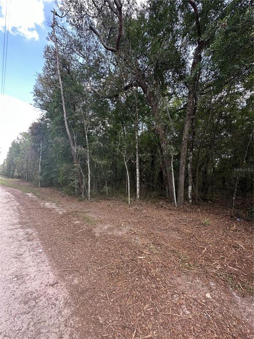 Tbd Ne 234th Pl, Fort Mc Coy, FL, 32134 | Card Image