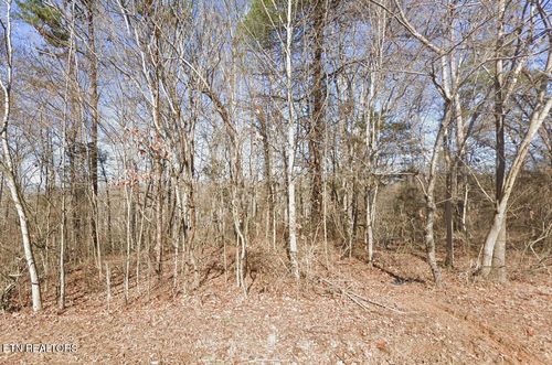 113 Chanusi Way, Loudon, TN, 37774-2556 | Card Image
