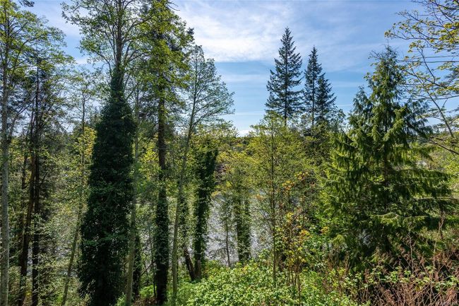 2323 Steelhead Rd, House other with 3 bedrooms, 1 bathrooms and 4 parking in Campbell River BC | Image 5