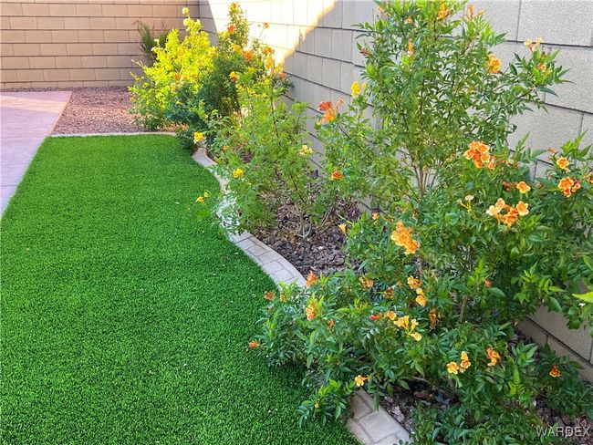 Yard | Image 27