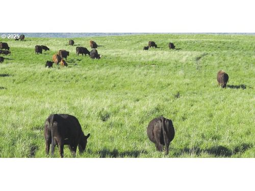 0 Se Highway 730, Irrigon, OR, 97844 | Card Image