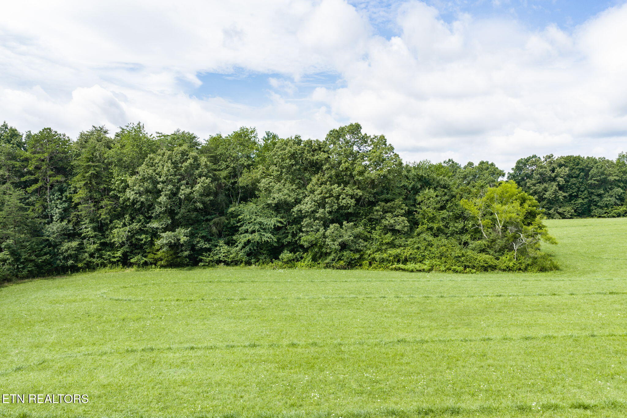 Land in Crossville 4