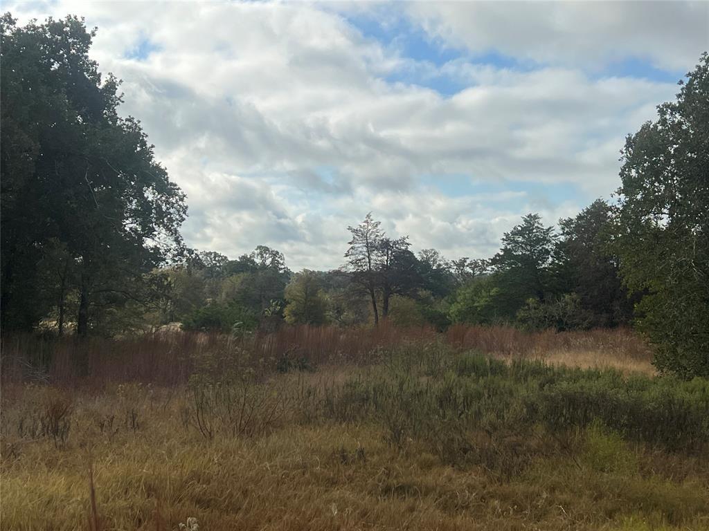 Land in Lexington 2