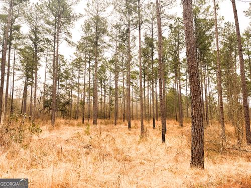 0 Newton Rd, bainbridge, GA, 39817 | Card Image