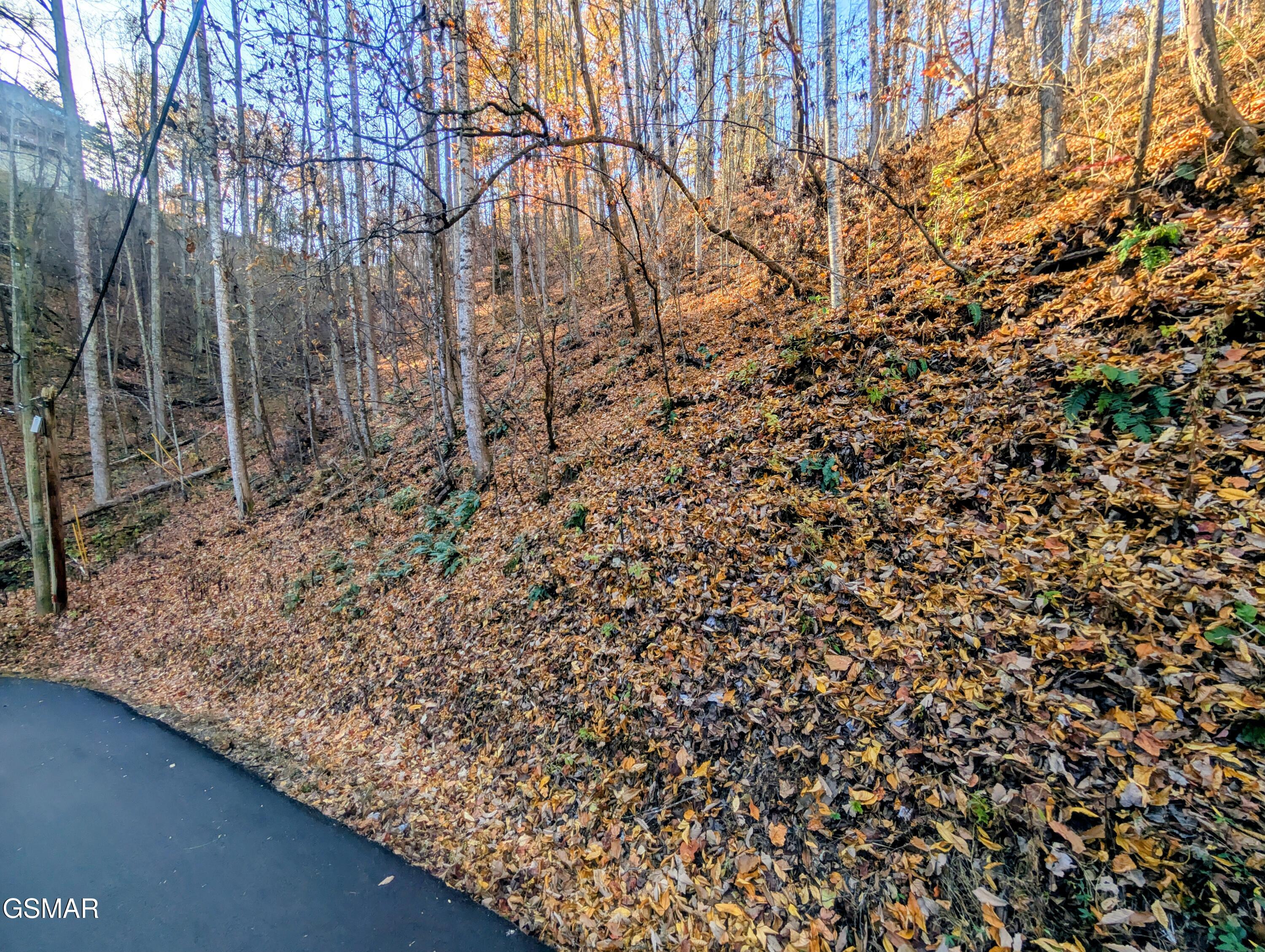 Land in Sevierville 4
