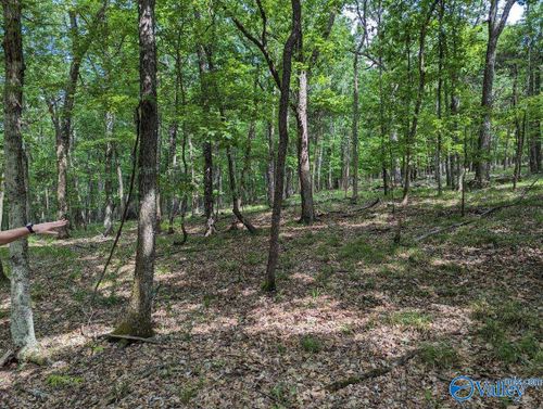 40 Acres Berry Rd, Brownsboro, AL, 35741 | Card Image