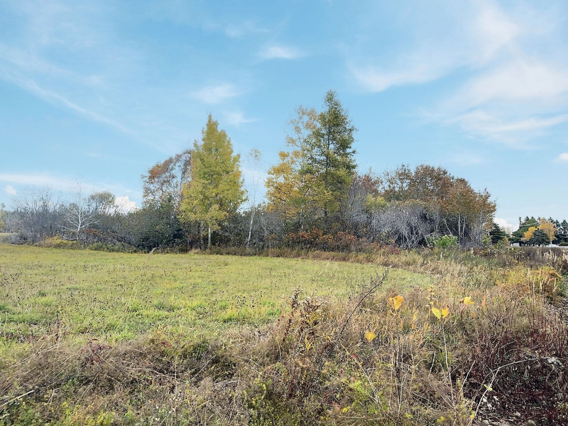 Land in Unknown 2