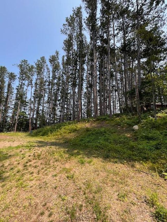 5878 S Thunder Lake Dr Ne, Home with 0 bedrooms, 0 bathrooms and null parking in Remer MN | Image 30