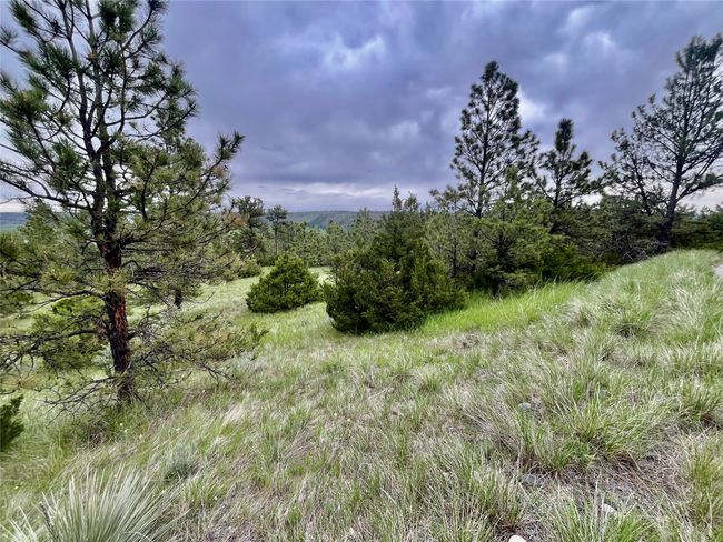 69 Colter Trl, Home with 0 bedrooms, 0 bathrooms and null parking in Columbus MT | Image 7