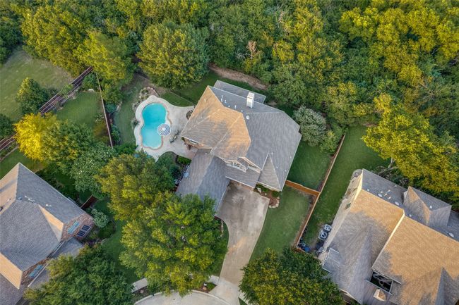 Trees galore w this huge lot backing to a creek | Image 37