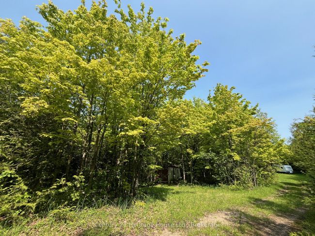 502774 Sideroad 9, Home with 0 bedrooms, 0 bathrooms and null parking in Durham ON | Image 4