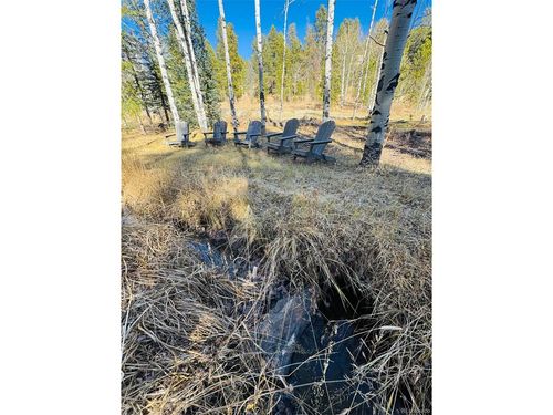 216620 Indian Springs Rd, Conifer, CO, 80433 | Card Image
