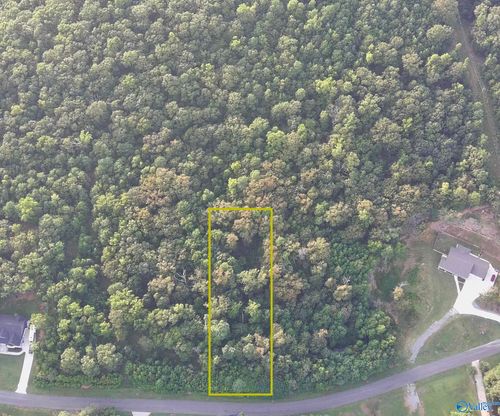 166 Lookout Mountain Dr, Scottsboro, AL, 35769 | Card Image