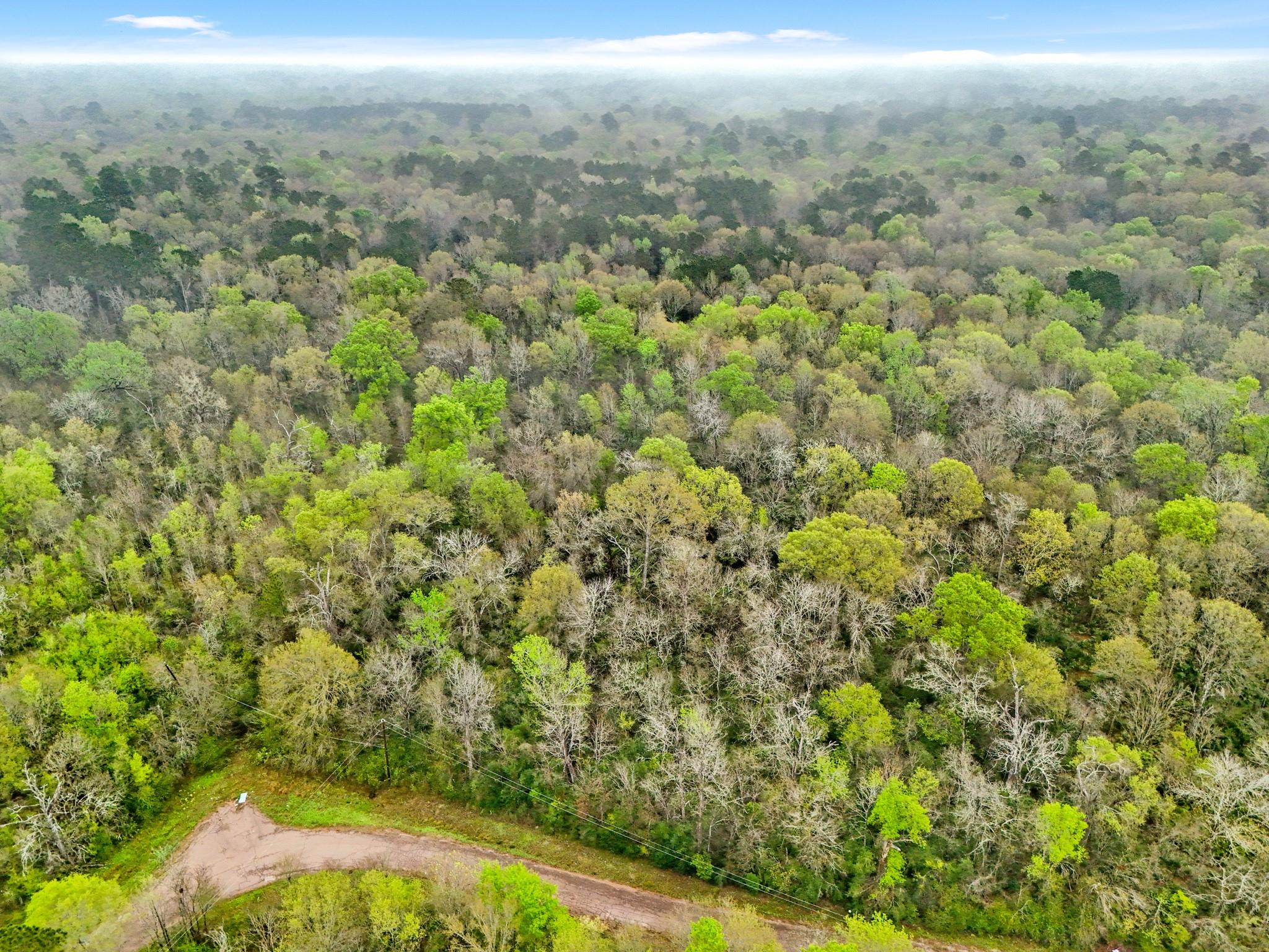 Land in Conroe 2