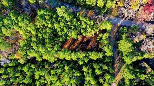 222 S Main St, Arp, TX, 75750-4604 | Card Image