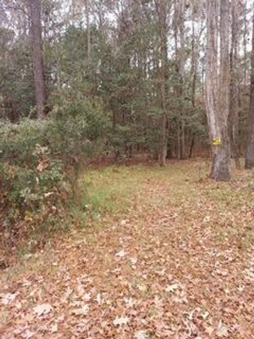 Lot 208 Prices Bridge Ln, Walterboro, SC, 29488-6982 | Card Image