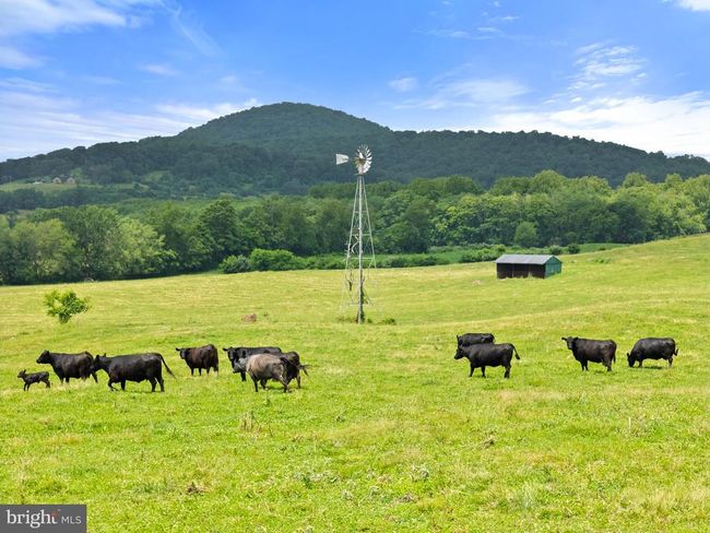 10674 Ada Rd, Home with 1 bedrooms, 1 bathrooms and null parking in MARSHALL VA | Image 27