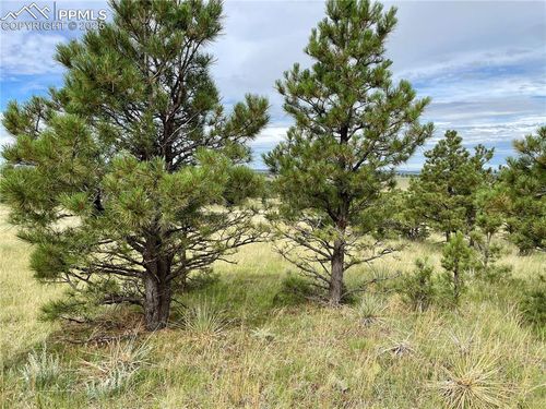 31963 Cattle Circle, Ramah, CO, 80832 | Card Image