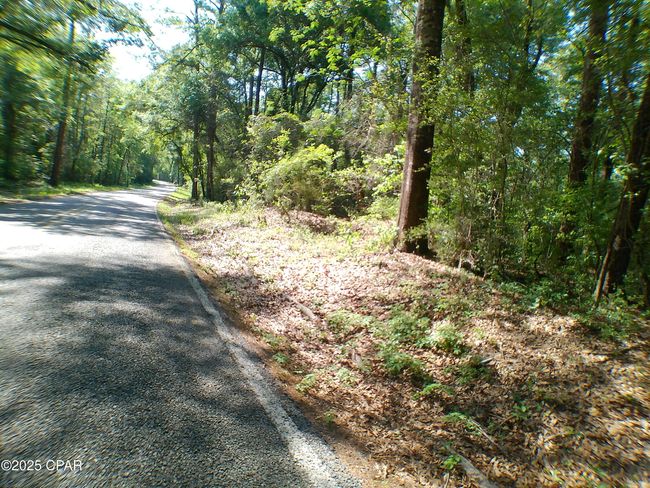 1725 - 00 Christian Life Rd, Home with 0 bedrooms, 0 bathrooms and null parking in Defuniak Springs FL | Image 13