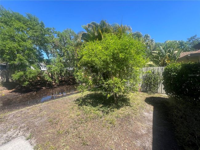Back Yard View | Image 41