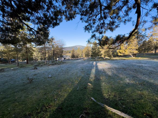 520 Mourning Dove Dr-06 | Image 10