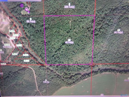 PIN # 29635 County Road 14, Centre, AL, 35960 | Card Image